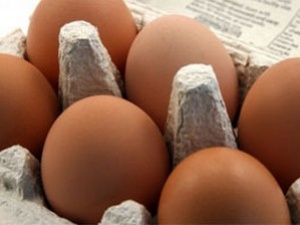 Szennyezett tojásokat találtak Németországban
