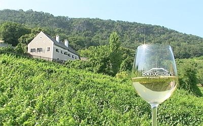 Németországban is egyre népszerűbb a magyar bor