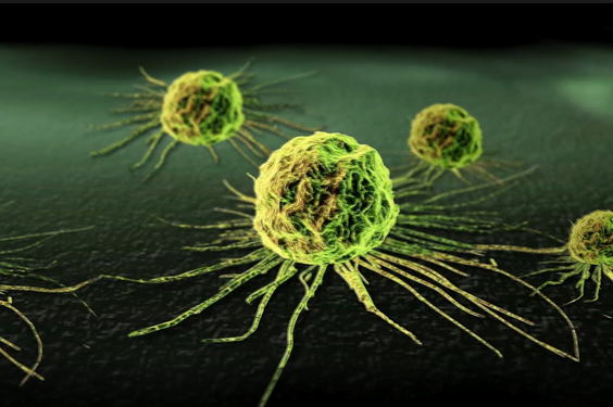 Egy új műszer 10 másodperc alatt kimutatja a rákos szövetet