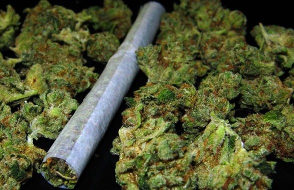 Tizenhat kiló marihuánát találtak Röszkén