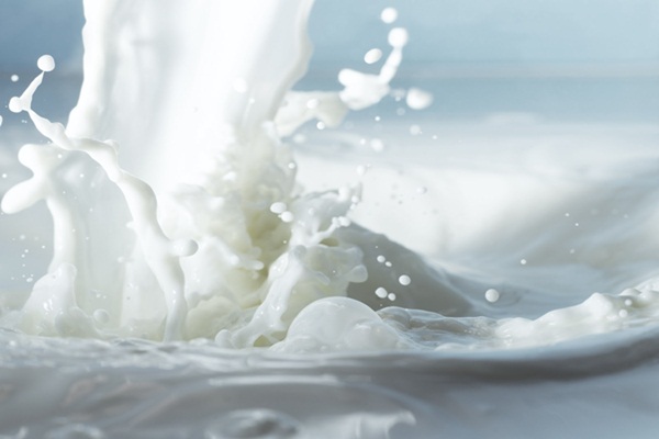 A tejtermelés és a feldolgozás korszerűsítését támogatja a kormány