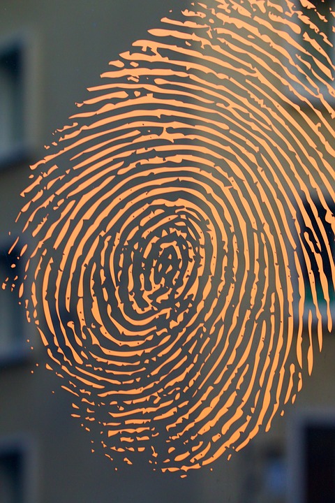 Az európai fogyasztók készen állnak a biometrikus azonosítási megoldások használatára