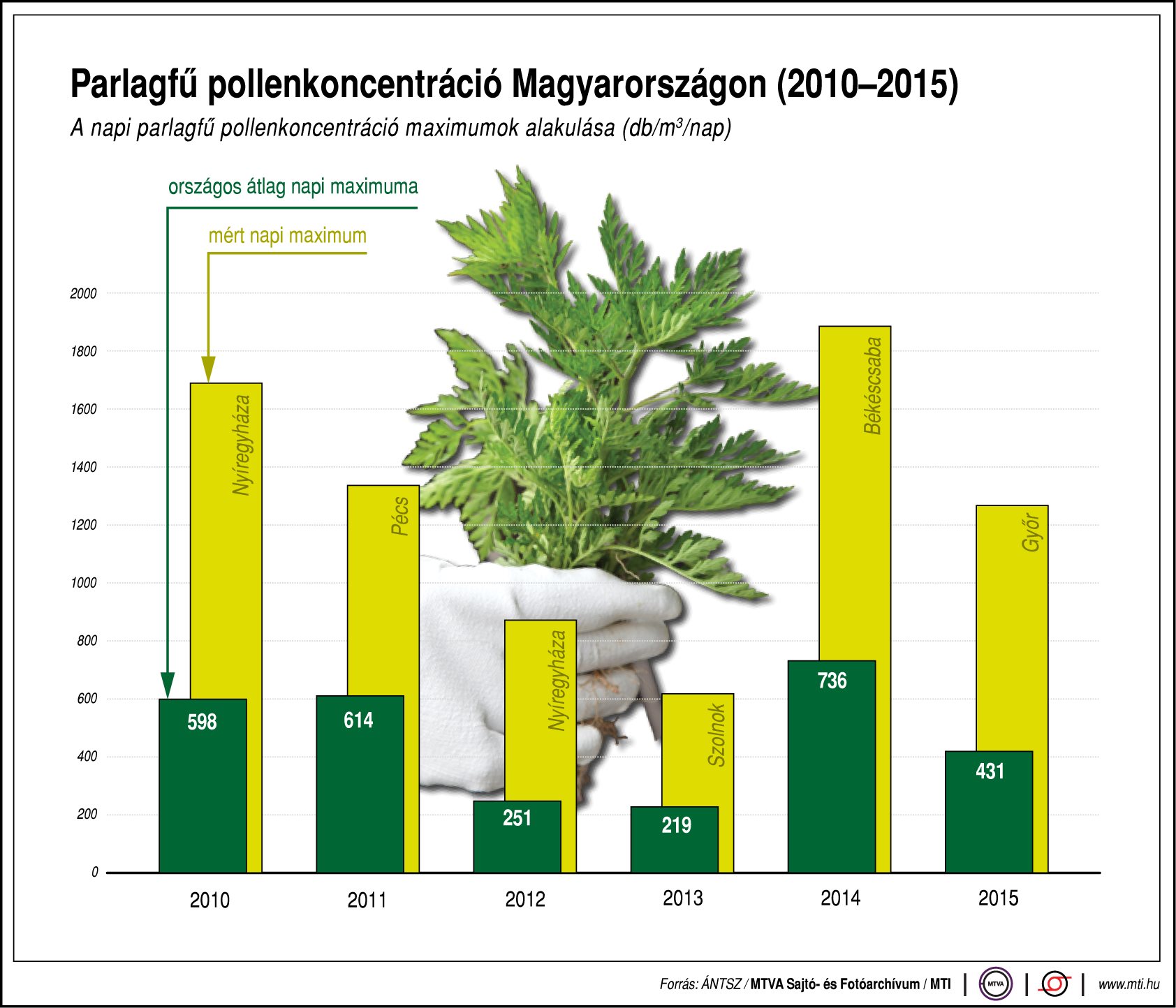 Ilyen a parlagfű pollenkoncentráció hazánkban - ábra