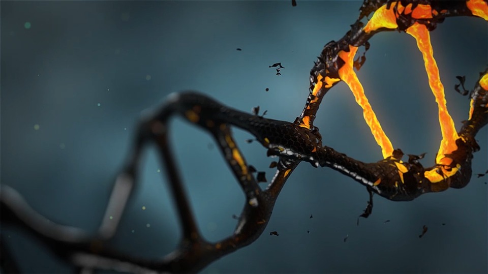 Betegséget okozó DNS-t iktattak ki humán embrióból
