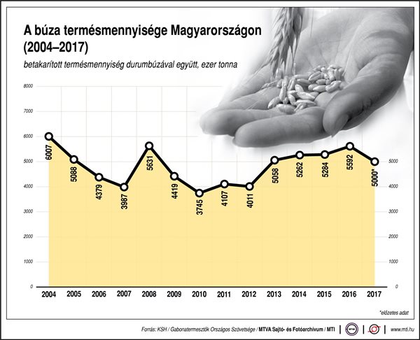 Mennyi búzát termel hazánk? - ábra