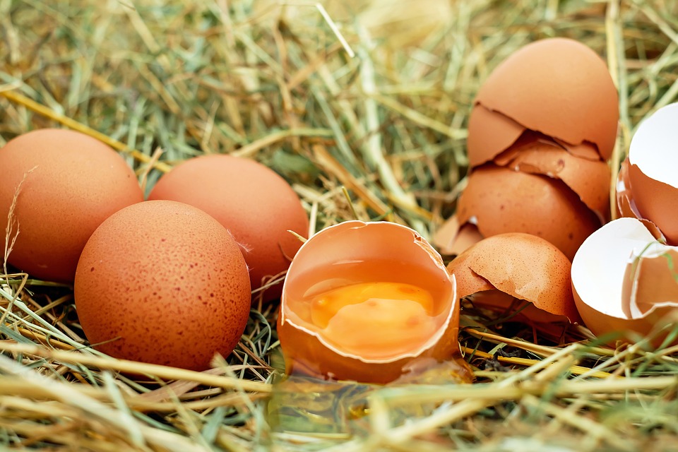 Szalmonellás tojást hívnak vissza
