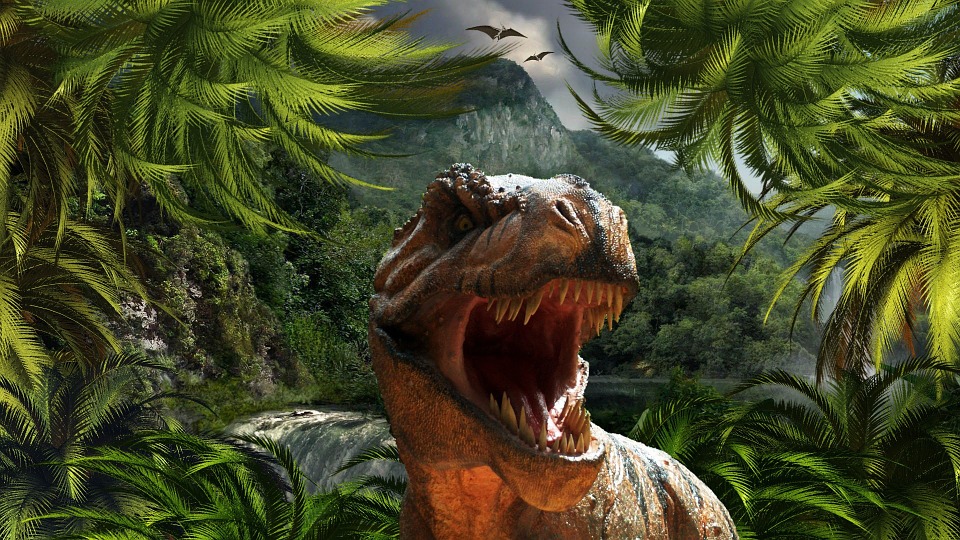 Dinoszaurusz lábnyomokra bukkantak Dél-Koreában