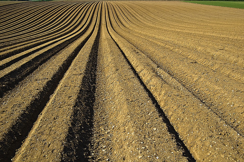 Magyarország segíti az afrikai földművelés fejlesztését