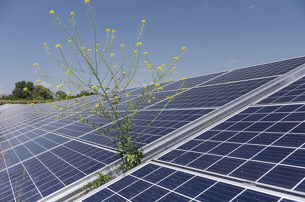 143 millió forintból épült napelemes rendszer a Pannon Egyetemen