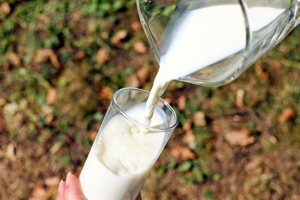 Mit tud a növényi tej?
