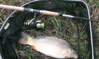 Kedvezményes engedély a legyezőhorgászoknak a Tisza-tavon