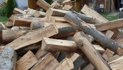 Tisztázatlan eredetigazolású faanyagot találtak Zala megyében