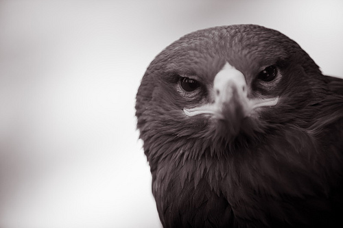 A CIA közép-európai terrortámadások veszélyére figyelmeztette Varsót