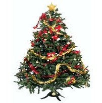 Extra gyújtós lett a karácsonyfából a szoba közepén? - A biztosítás fedezi