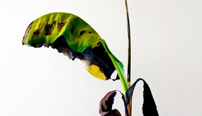 Súlyos ára van a túlzottdeficit-eljárás megszüntetésének