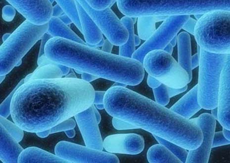 Tovább szedi áldozatait a legionella baktériumtörzs