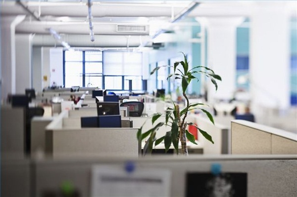 Egy felmérés szerint az irodai dolgozók nem bírják az egyterű irodát