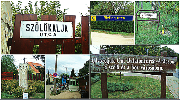  Alig létezik borturizmus Magyarországon, ezen próbálnak segíteni