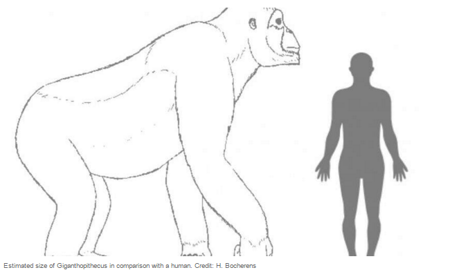 Kicsinek lenni jó. Legalábbis könnyebben lehet alkalmazkodni 