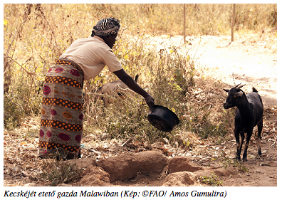 Nehéz év előtt áll az afrikai kontinens