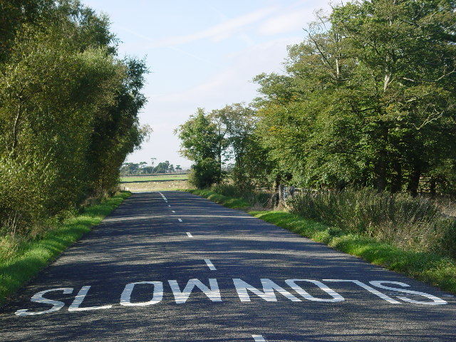 Miért lassul a magyar gazdaság? A GKI tudja...