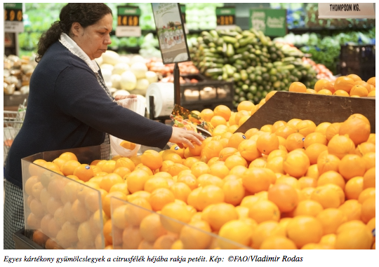 Kedvelt növényeinket kártevők és betegségek fenyegetik
