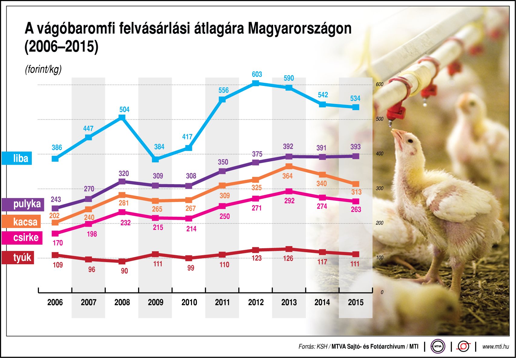 Így alakult a vágóbaromfi felvásárlási ára - ábra