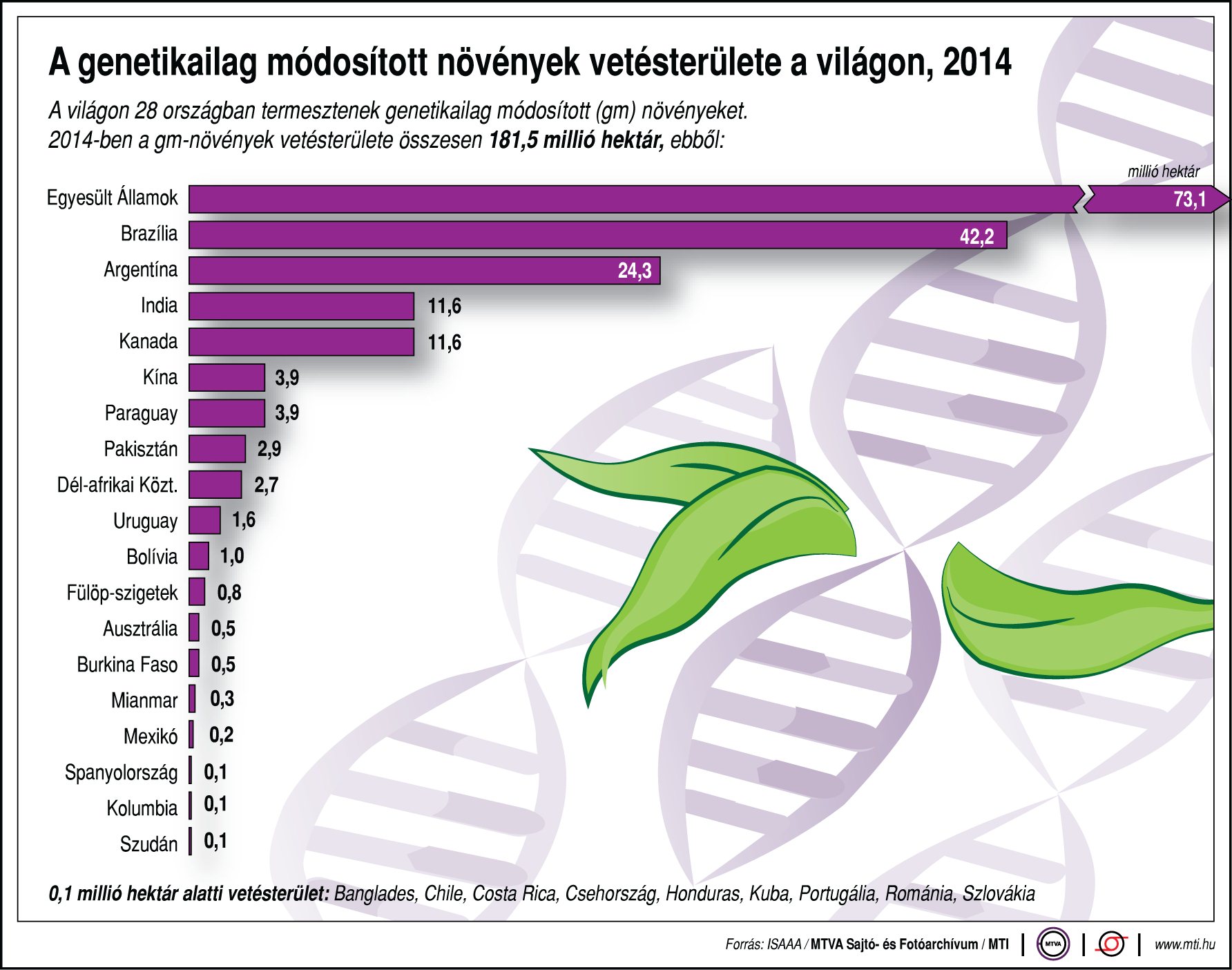Így vetik a világban genetikailag módosított növényt - Ábra
