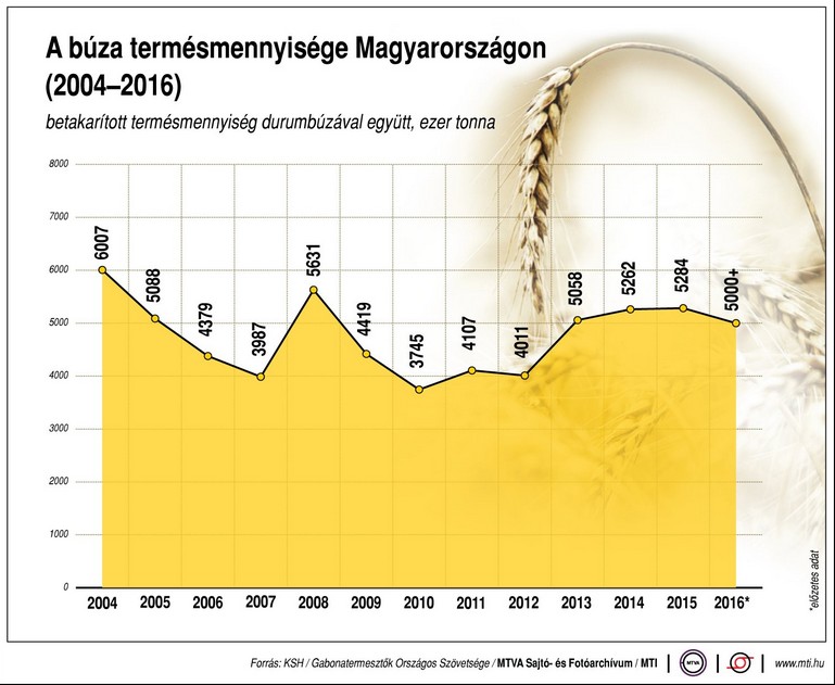 Tizenkét év búzatermelése egy ábrán