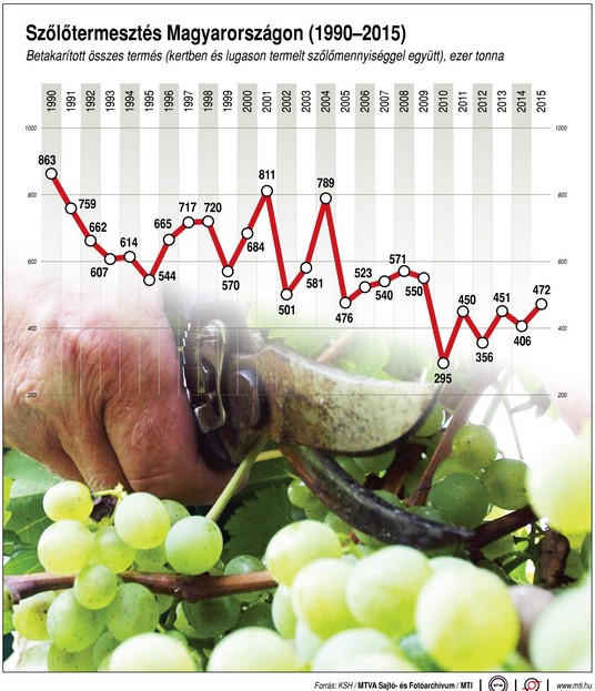 Érik a szőlő? - Ábra