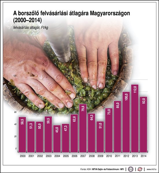 A borszőlő felvásárlási átlagára - ábra