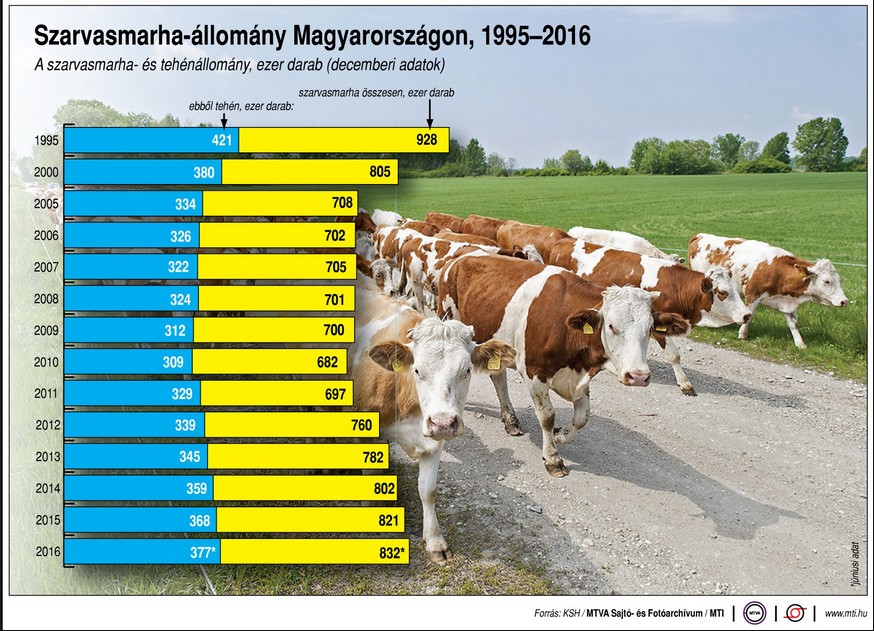 Mennyi magyar tehén van egyáltalán? - Ábra