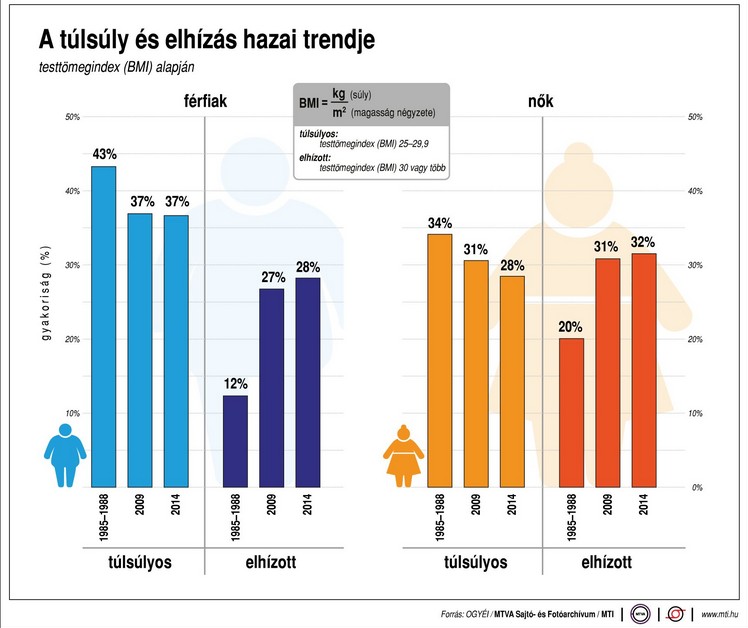 Elhízott nép lennénk? - Ábra