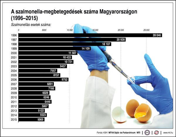 Mennyire kell itthon tartanunk a szalmonellától? - ábra