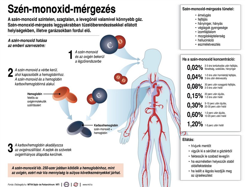 Ez történik a testeddel szén-monoxid mérgezéskor - Ábra