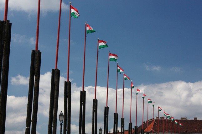 Költségvetési forrás biztosítása nemzeti rendezvényekre