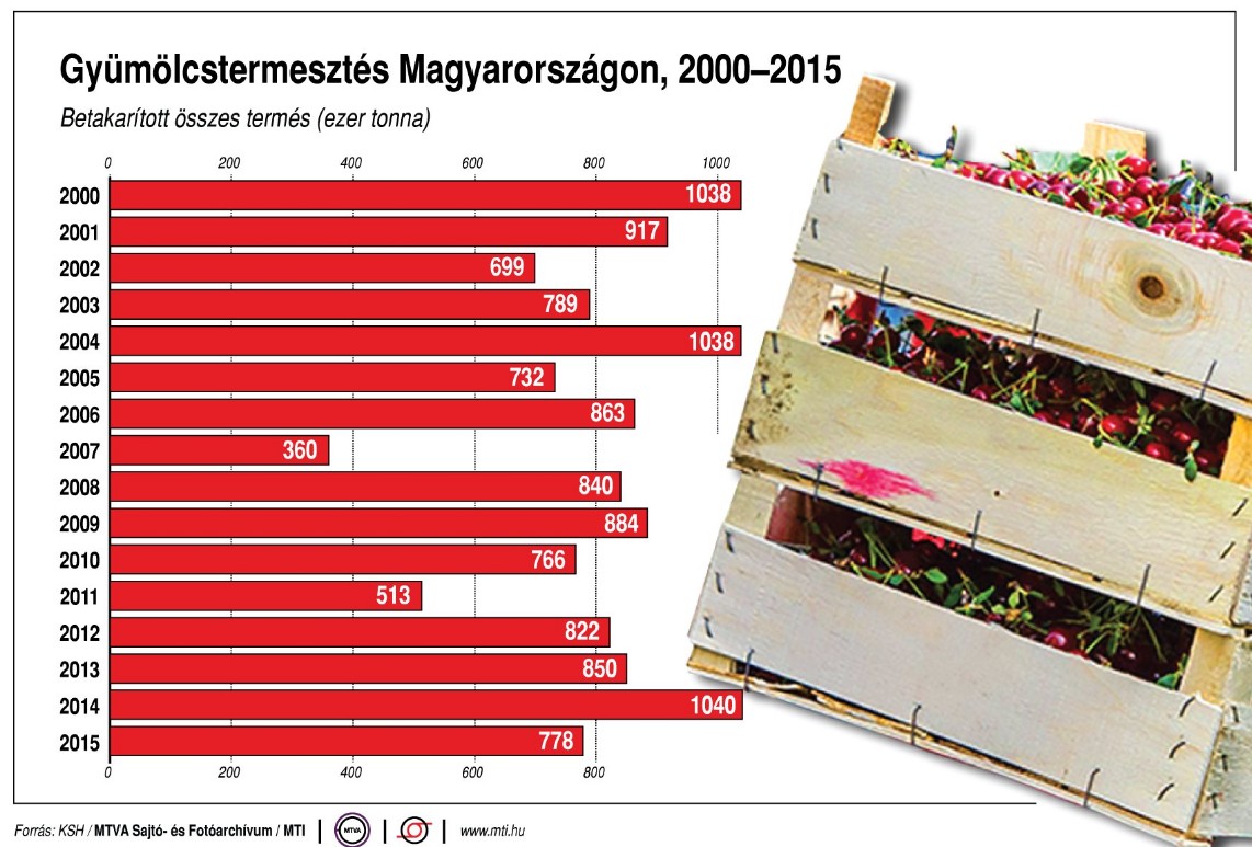 Íme az elmúlt 15 év gyümölcstermesztése - Ábra
