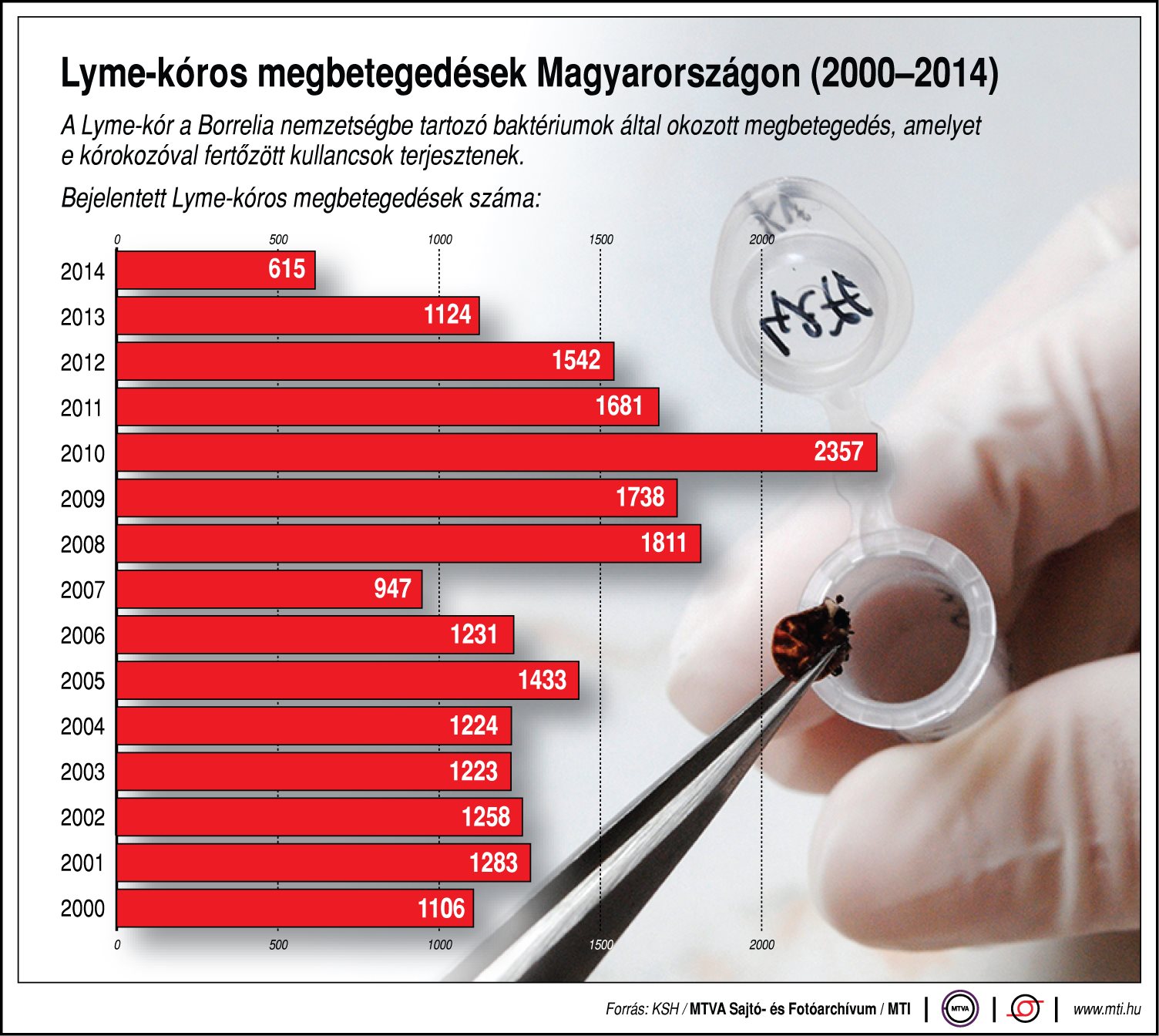 Mennyire gyakori a Lyme-kór? - egy ábrán