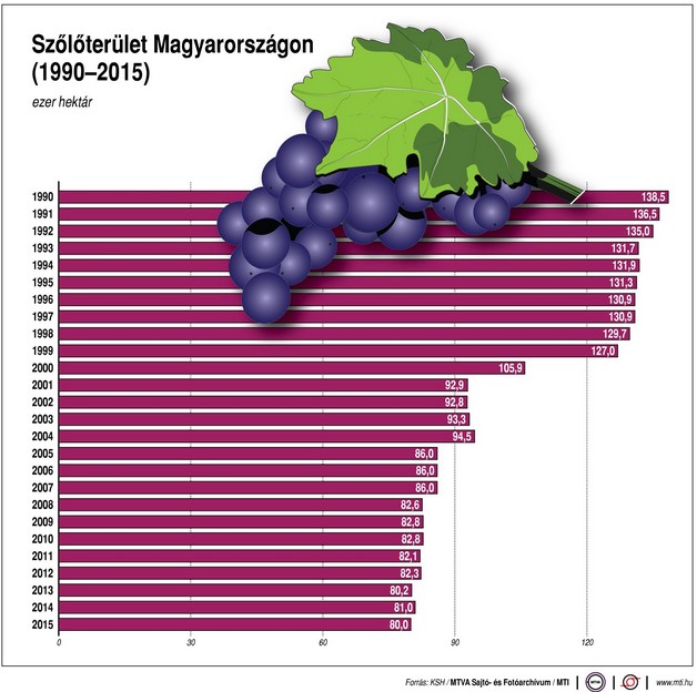 Ennyi szőlő terem Magyarországon - Ábra