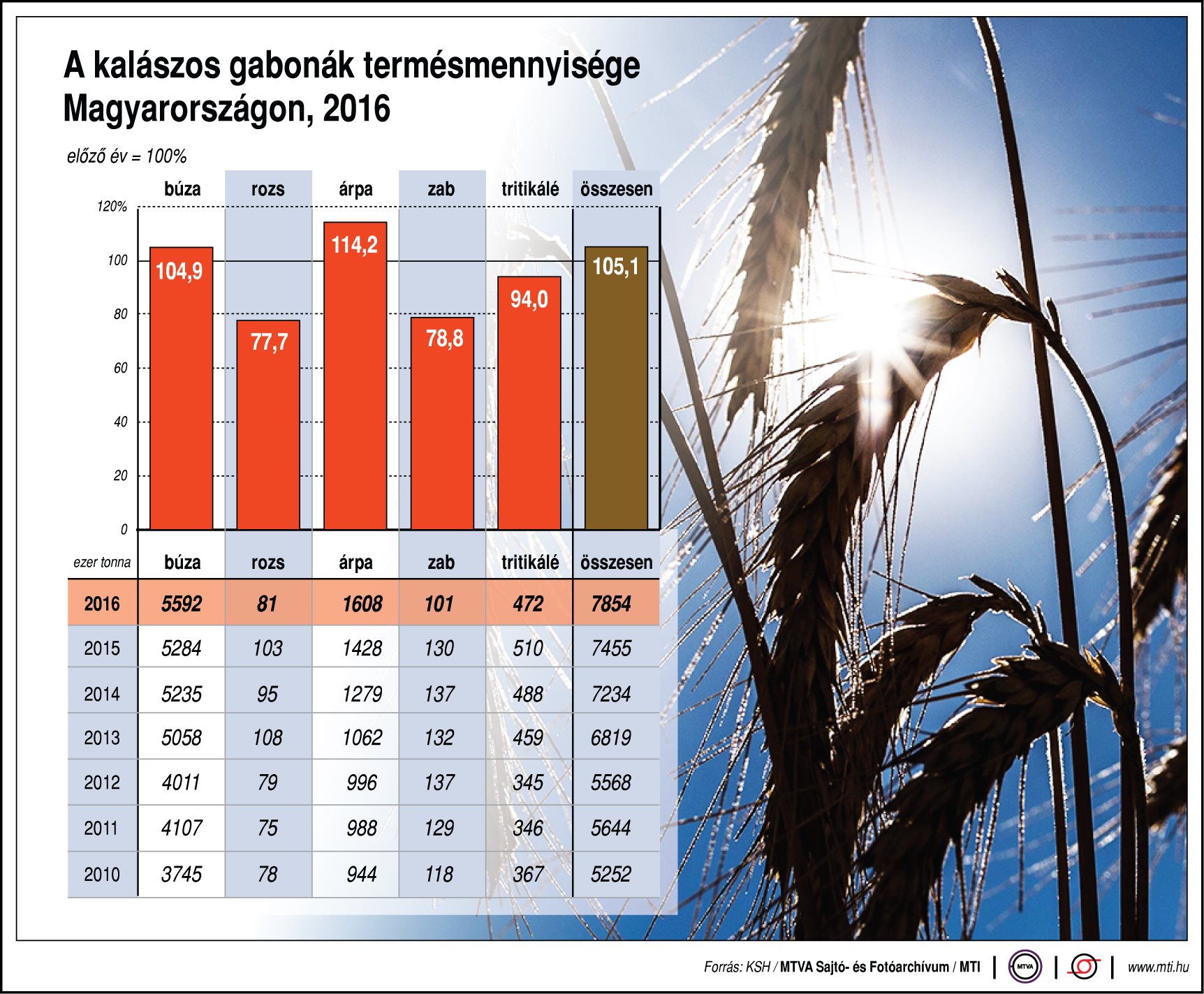 Ennyi kalászos gabonát termel Magyarország
