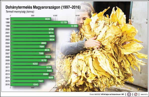 Ennyi dohányt termel Magyarország