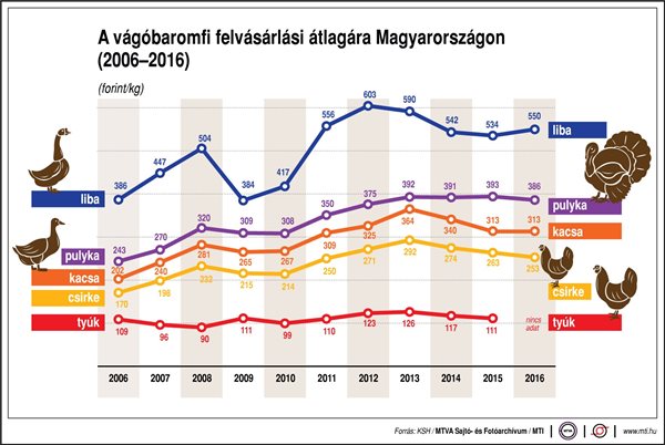 Így alakul a baromfi átlagára - egy ábrán