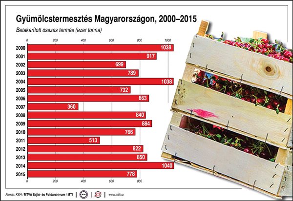 Ennyi gyümölcsöt termel Magyarország