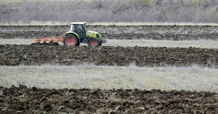 A nem várt mennyiségű gabona a vásárlókedvet is meghozni látszik