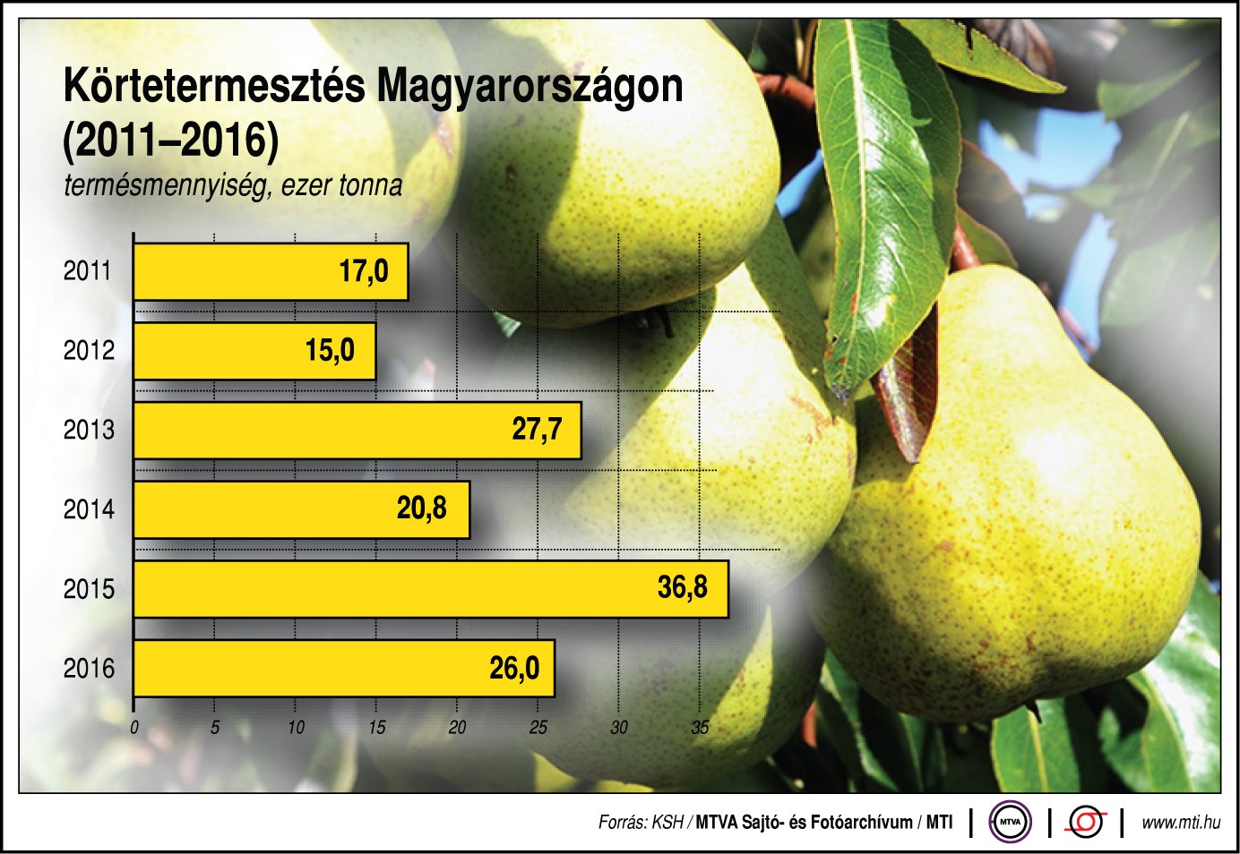 Ennyi körte terem Magyarországon - egy ábrán