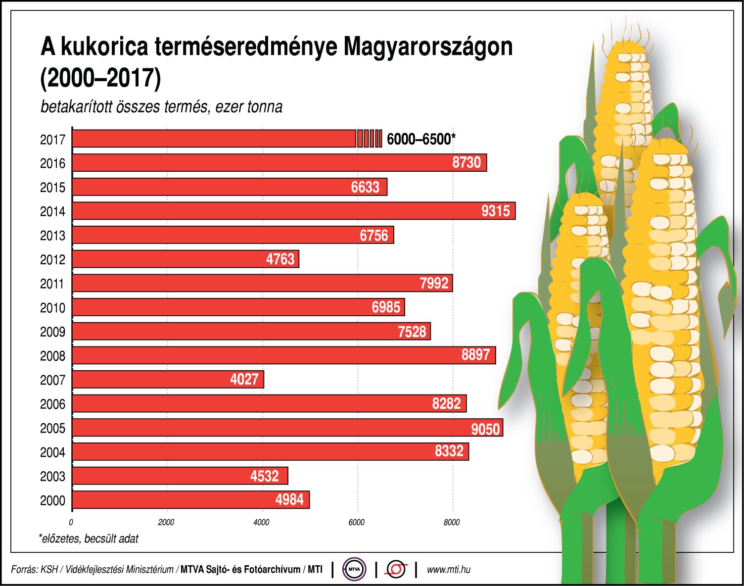 Ennyi kukoricát termel Magyarország