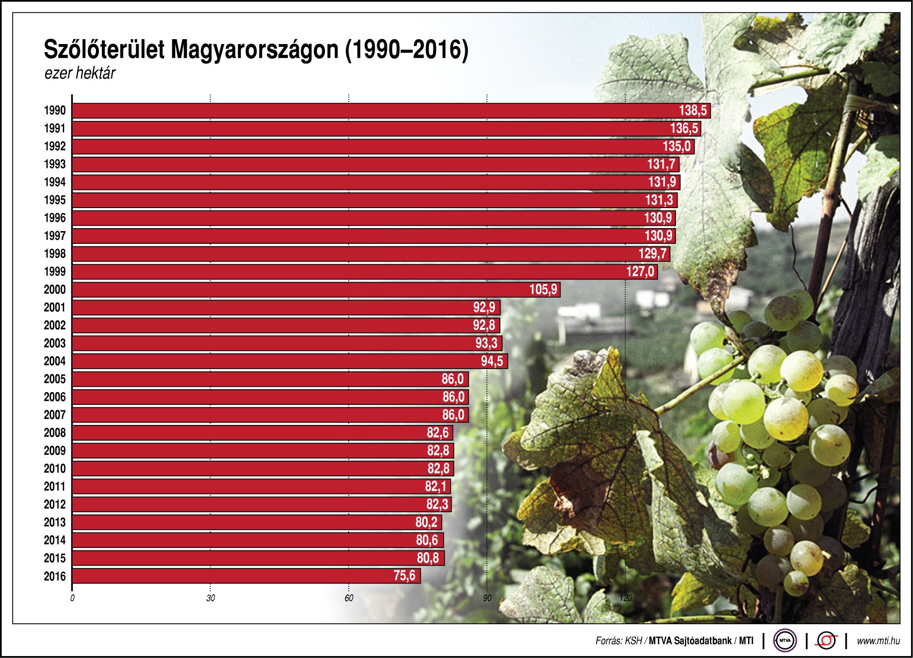 Mekkora a szőlőterület hazánkban? - ábrán mutatjuk!
