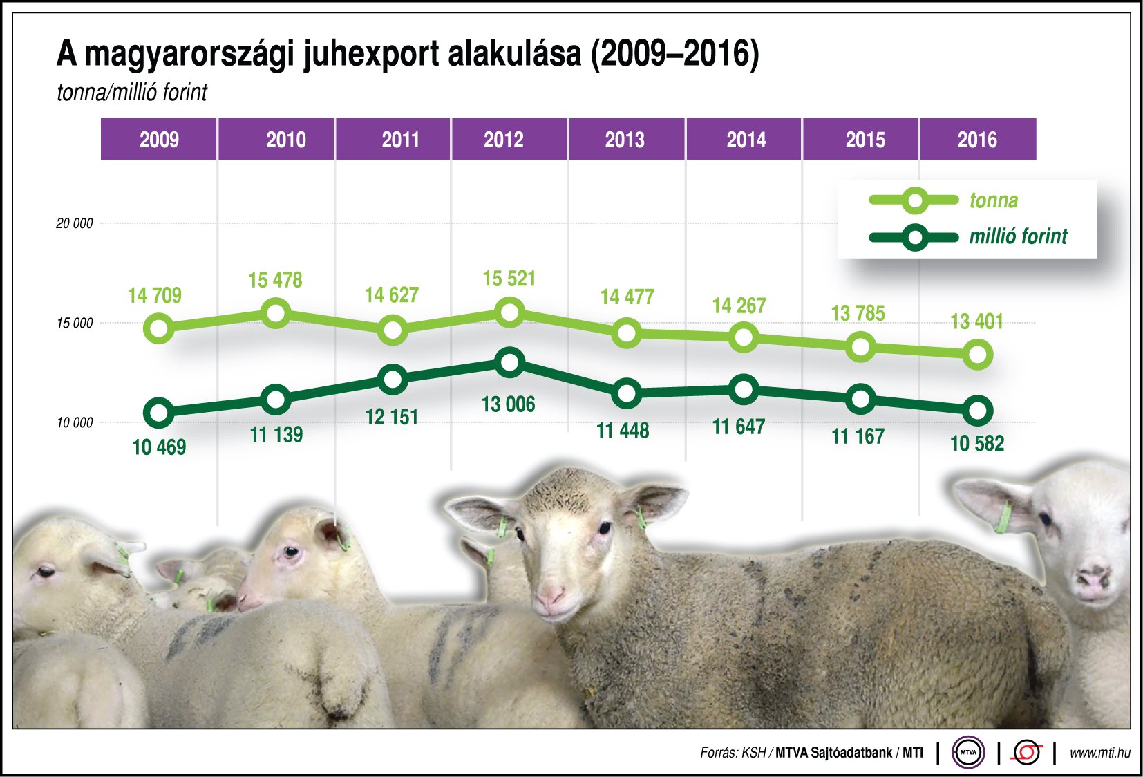 Így alakul a magyar juhexport