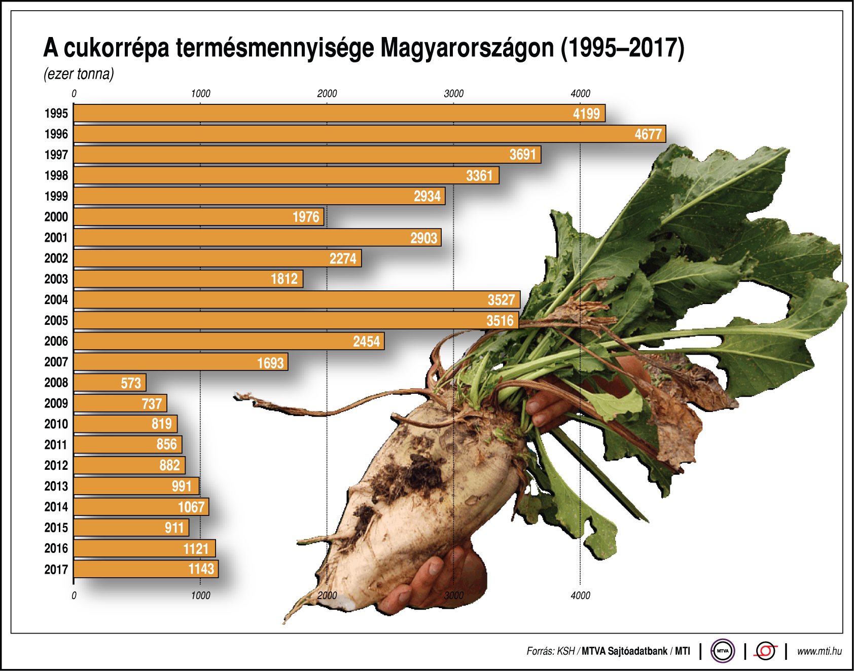 Ennyi cukorrépa terem hazánkban - egy ábrán