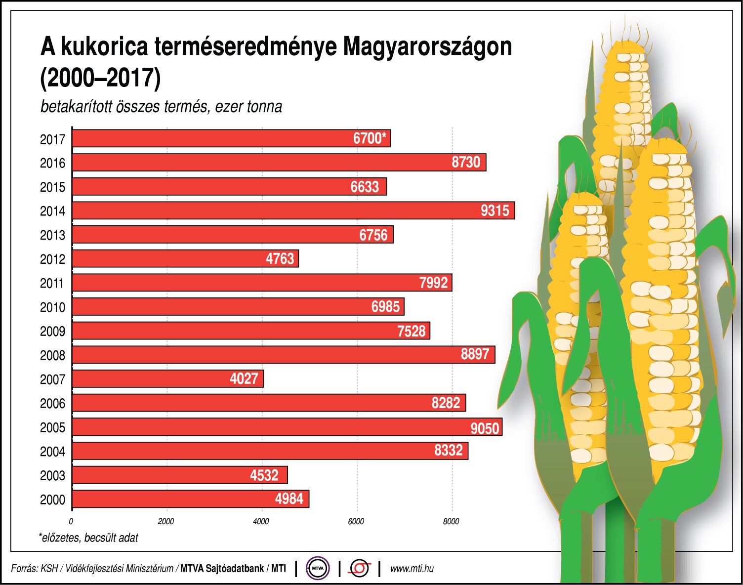 Ennyi kukorica terem Magyarországon - egy ábrán